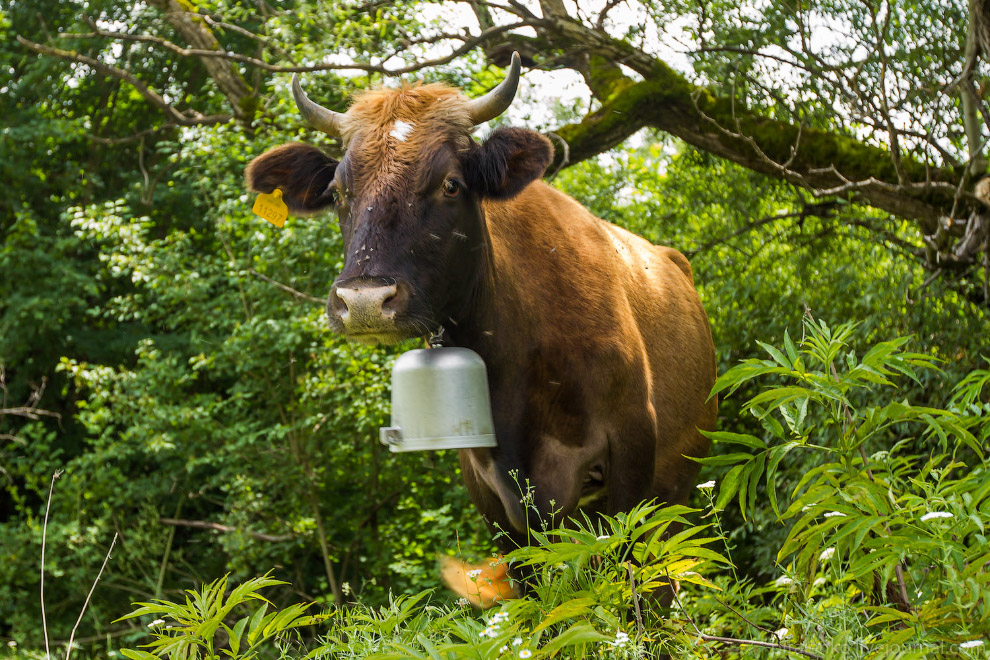 Путешествие по Грузии