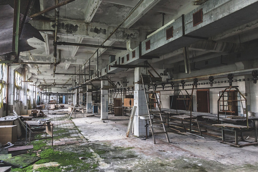 Руины фарфорового завода Руины фарфорового завода