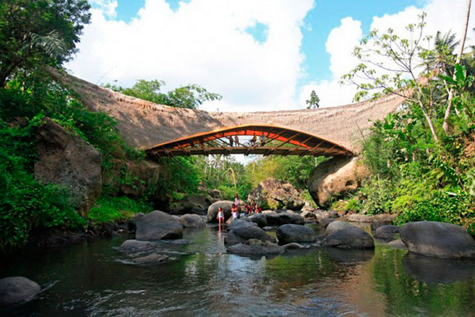 Зеленая школа на острове Бали (13 фото)