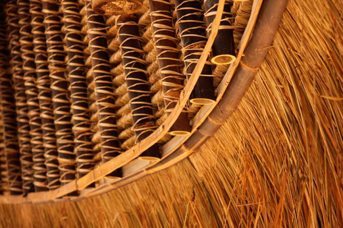 Зеленая школа на острове Бали (13 фото)