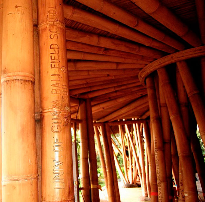 Зеленая школа на острове Бали (13 фото)