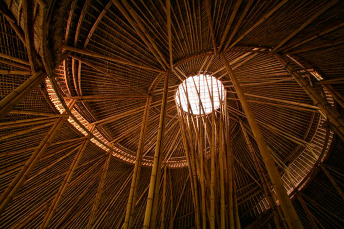 Зеленая школа на острове Бали (13 фото)