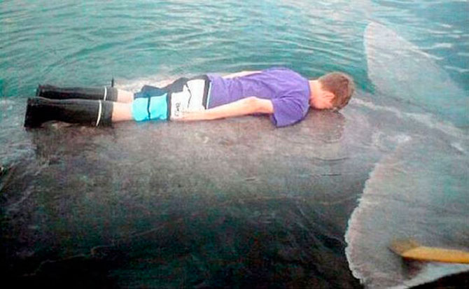 Массовые дурачества (23 фото) Массовые дурачества (23 фото)