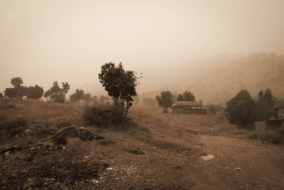 Курдские женщины-боевики (28 фото)