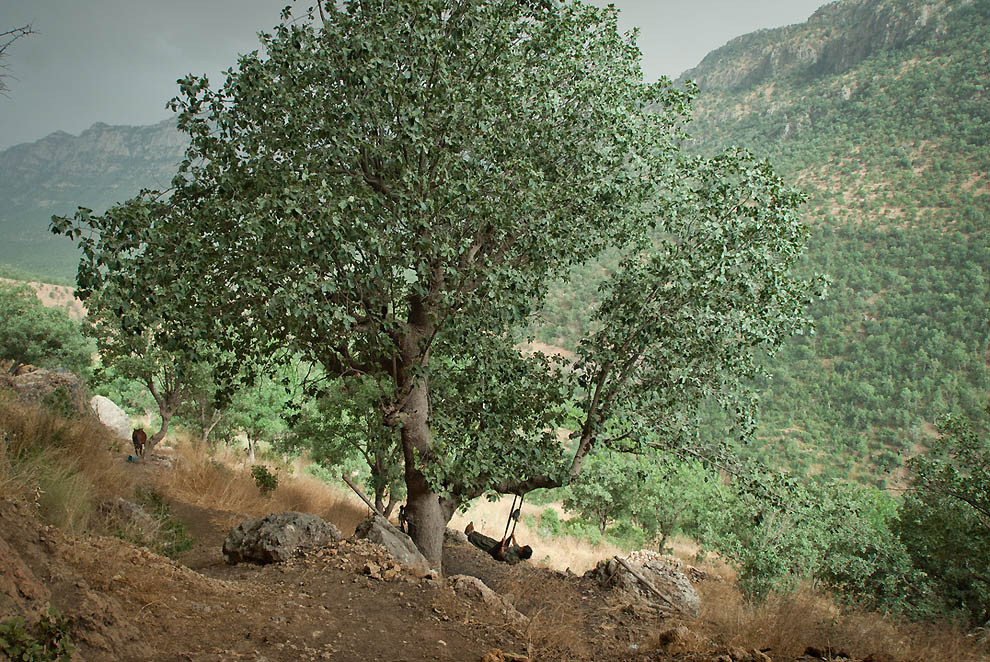 Курдские женщины-боевики (28 фото)