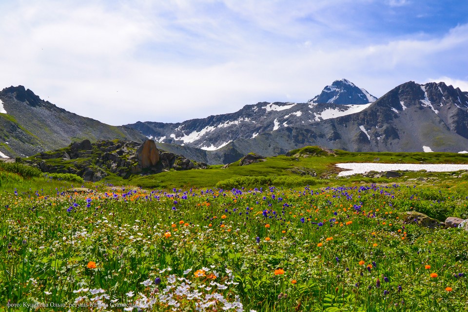 Пейзажи горного Алтая