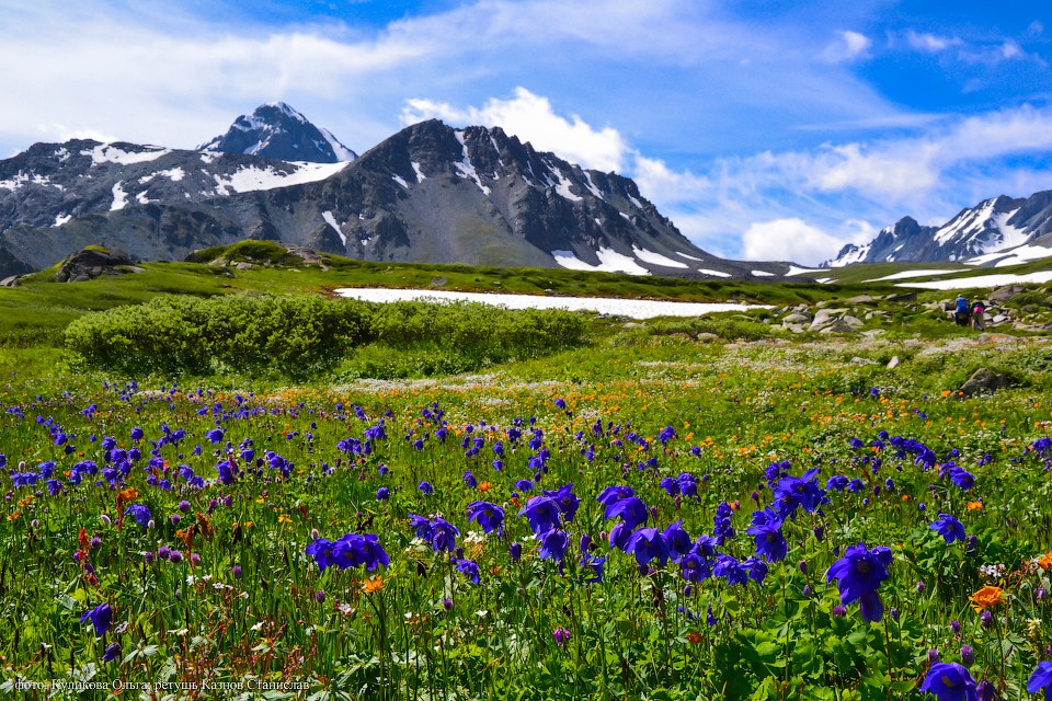Пейзажи горного Алтая
