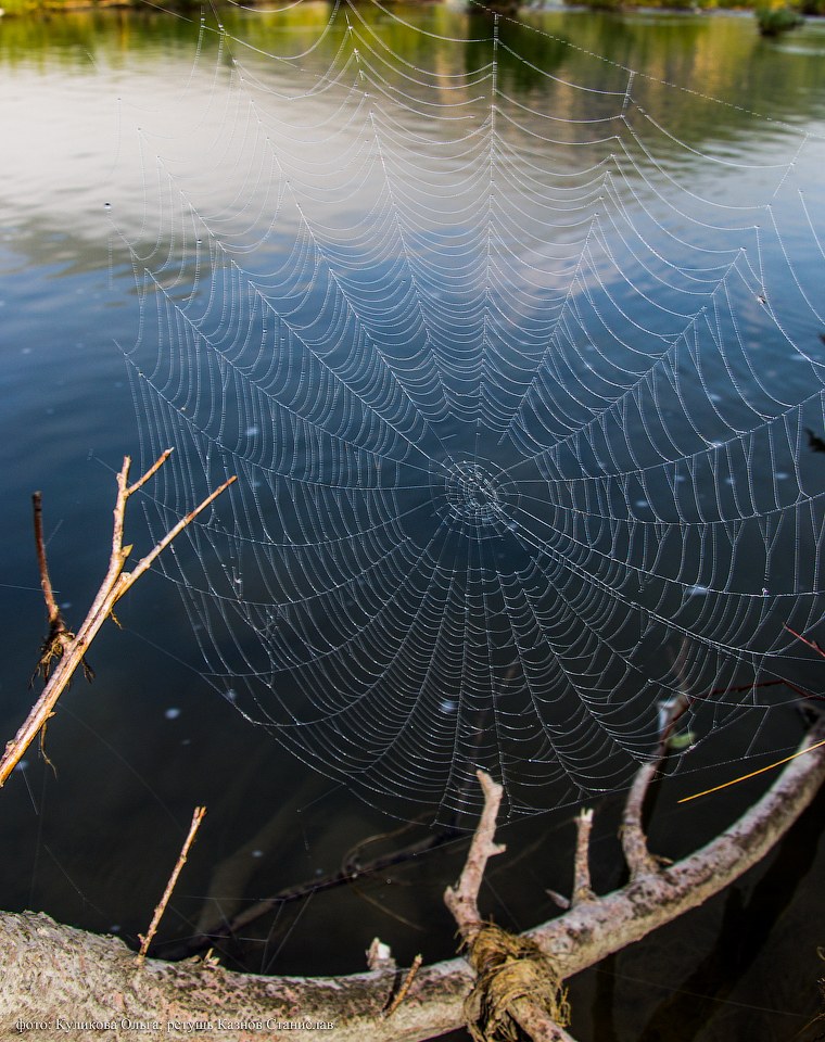 Пейзажи горного Алтая