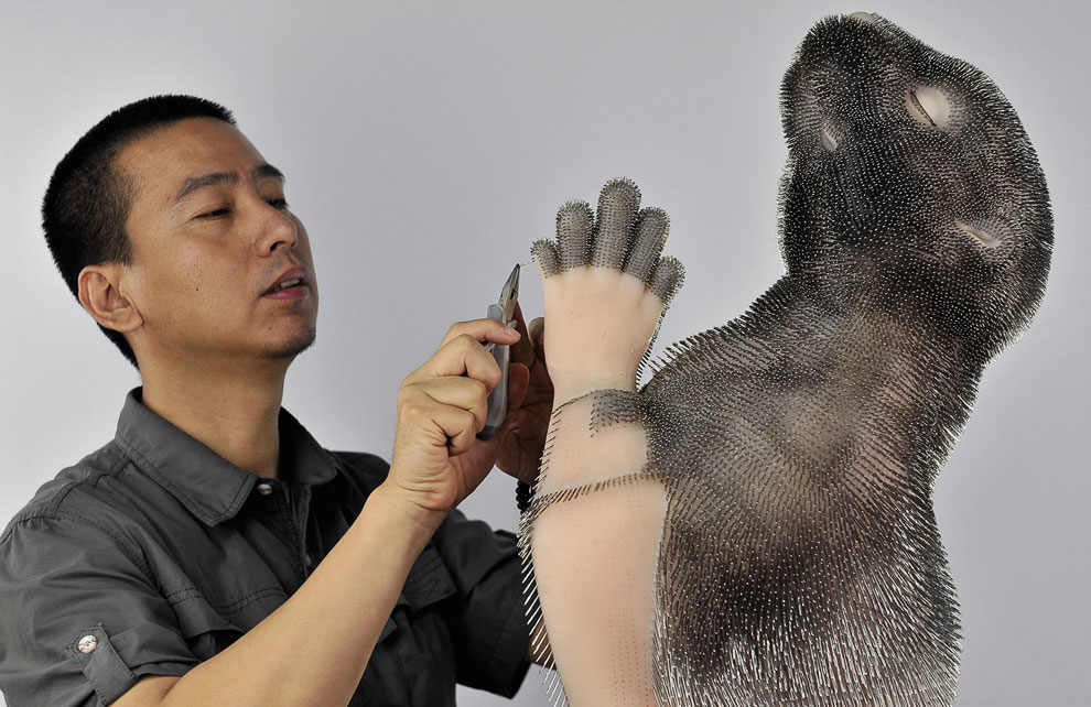 Китай XXI века. Сцены из жизни