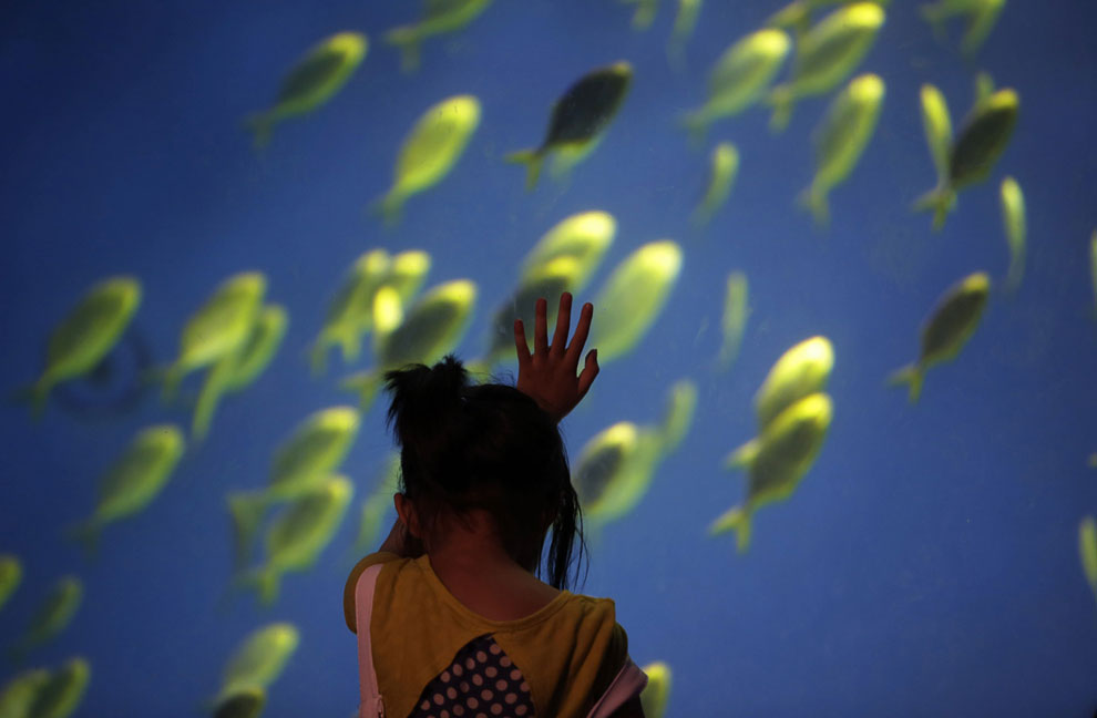 Китай XXI века. Сцены из жизни