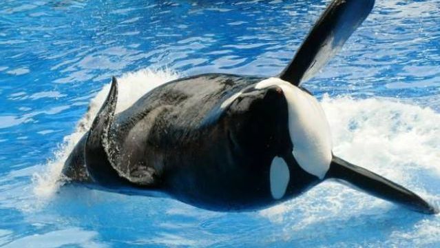 20 самых эксцентричных судебных разбирательств (20 фото)