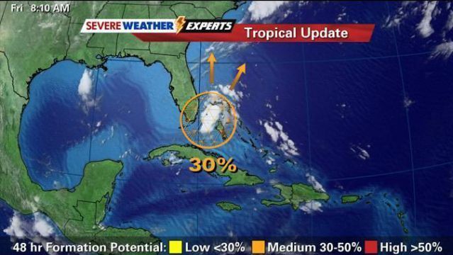 20 самых эксцентричных судебных разбирательств (20 фото)