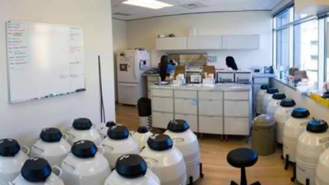 20 самых эксцентричных судебных разбирательств (20 фото)