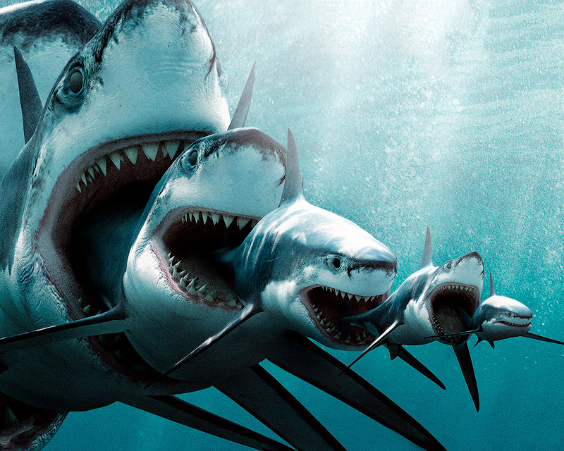 21 миф, опровергнутый «Разрушителями легенд»