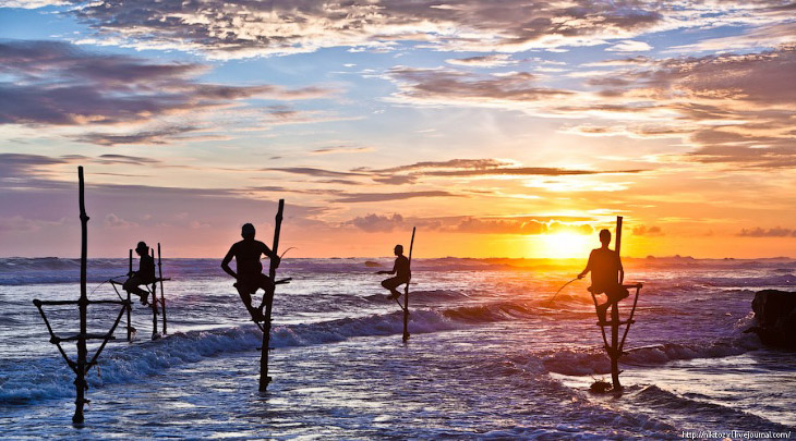 Шри-Ланка. Рыбалка на шесте