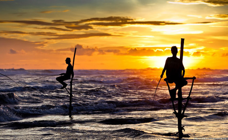 Шри-Ланка. Рыбалка на шесте