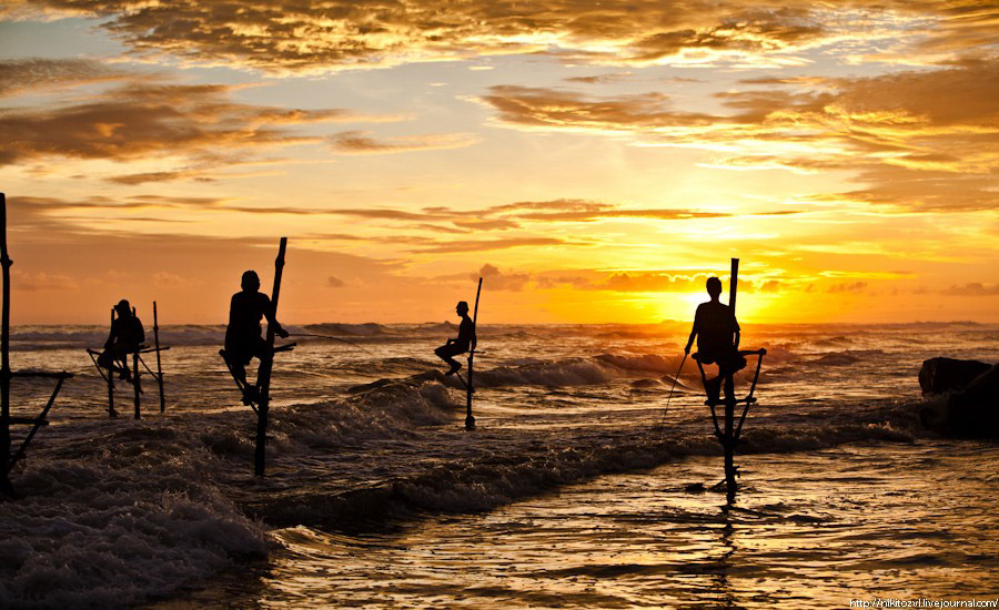 Шри-Ланка. Рыбалка на шесте
