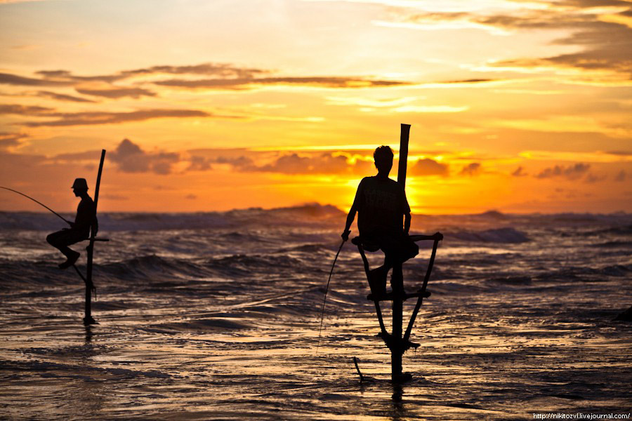 Шри-Ланка. Рыбалка на шесте