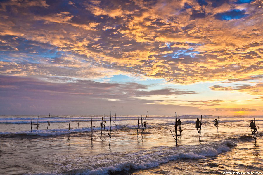 Шри-Ланка. Рыбалка на шесте