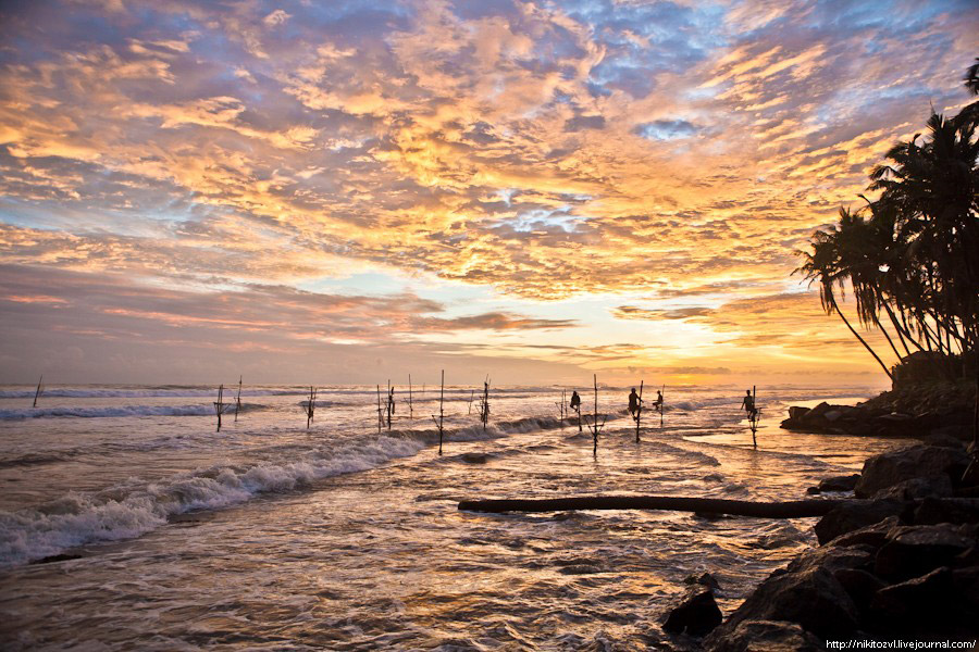 Шри-Ланка. Рыбалка на шесте