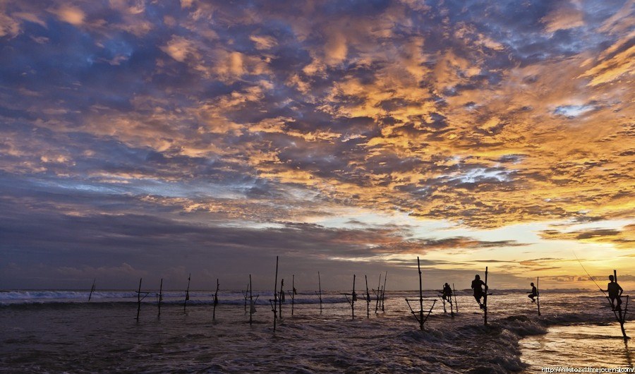 Шри-Ланка. Рыбалка на шесте
