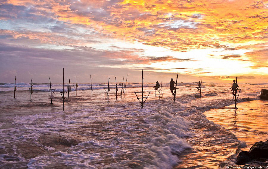 Шри-Ланка. Рыбалка на шесте