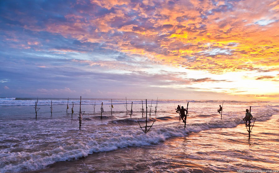 Шри-Ланка. Рыбалка на шесте