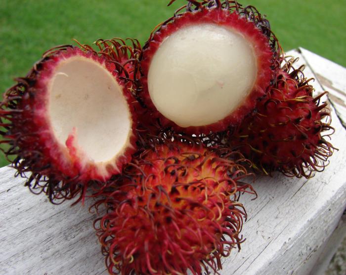 Экзотические фрукты, коотрых вы не ели