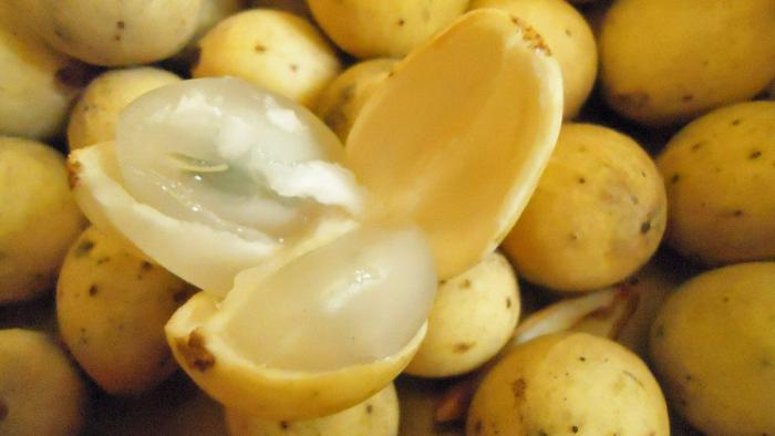 Экзотические фрукты, коотрых вы не ели