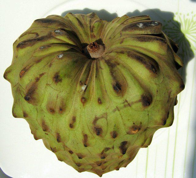 Экзотические фрукты, коотрых вы не ели