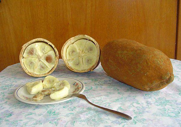 Экзотические фрукты, коотрых вы не ели