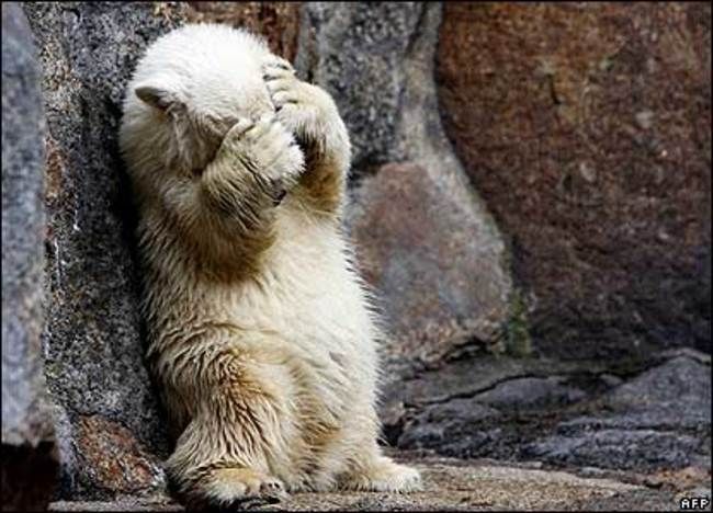 О чем должна быть предупреждена любая женщина