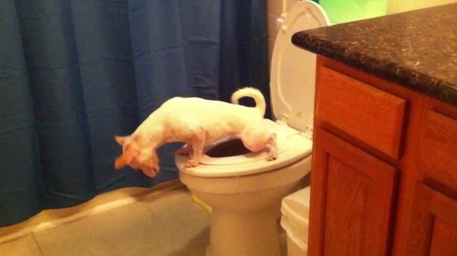 О чем должна быть предупреждена любая женщина