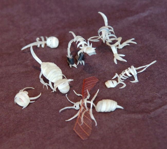 О чем должна быть предупреждена любая женщина