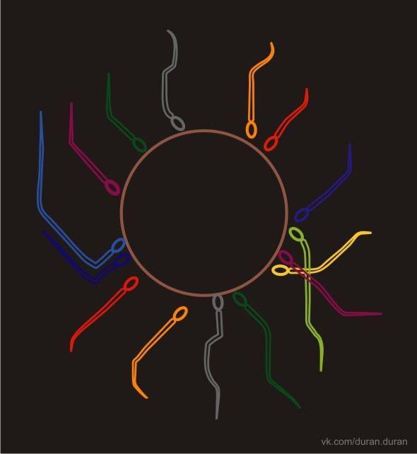 Прикольные картинки