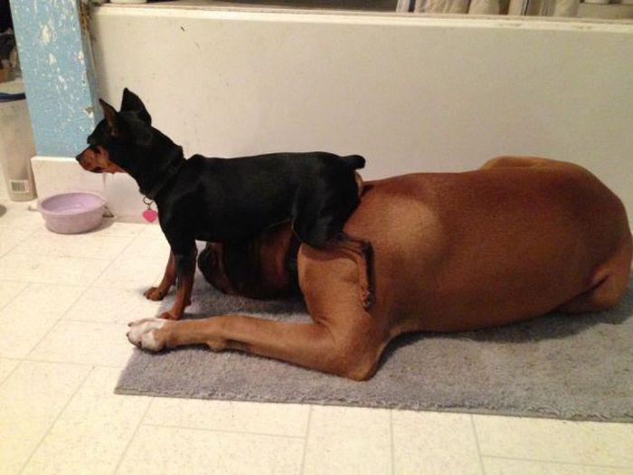 Прикольные картинки