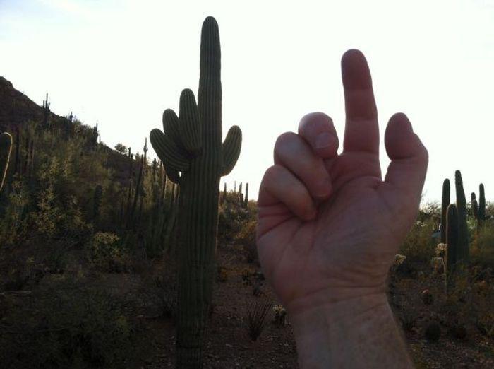 Прикольные картинки