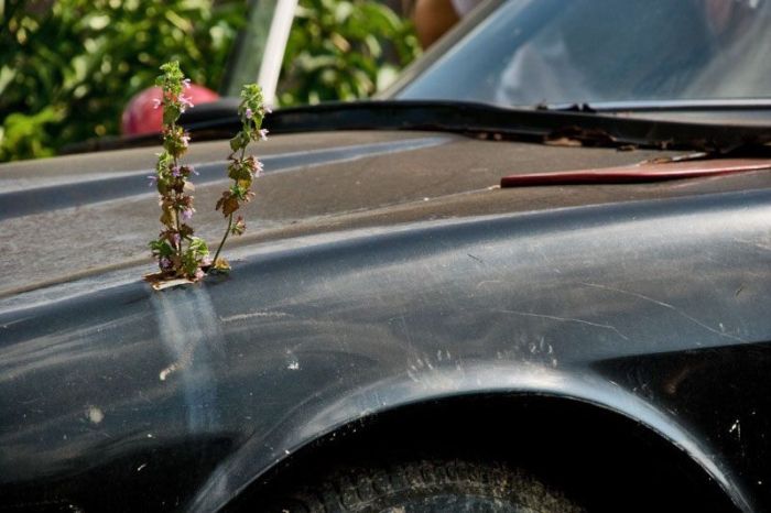 Из развалюхи в конфетку (28 фото)