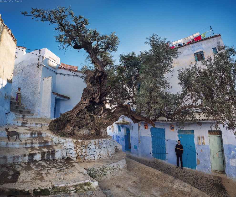 Большое путешествие по Марокко: город-облако Шефшауэн