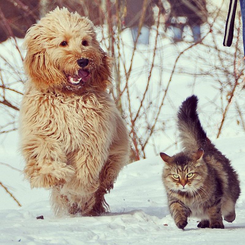 43 самых умилительных Инстаграма 2013 года 43 самых умилительных Инстаграма 2013 года