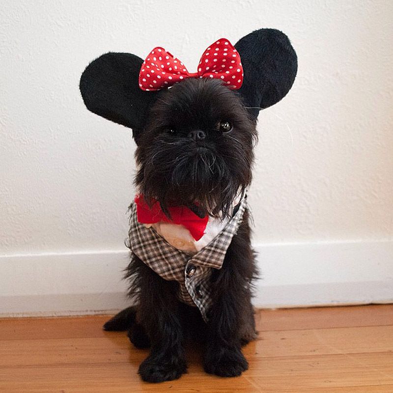 43 самых умилительных Инстаграма 2013 года 43 самых умилительных Инстаграма 2013 года