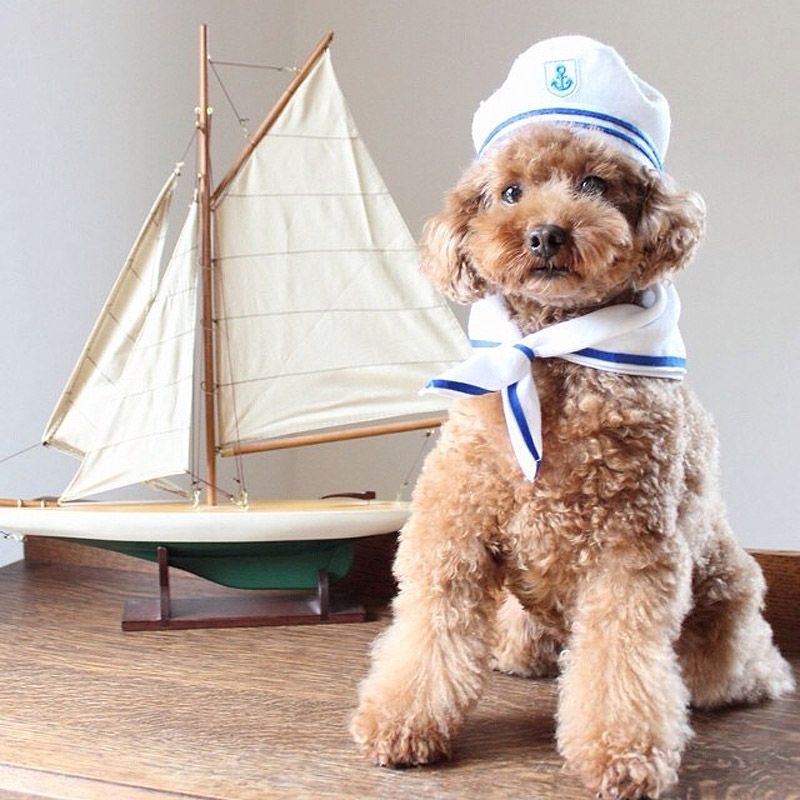 43 самых умилительных Инстаграма 2013 года 43 самых умилительных Инстаграма 2013 года