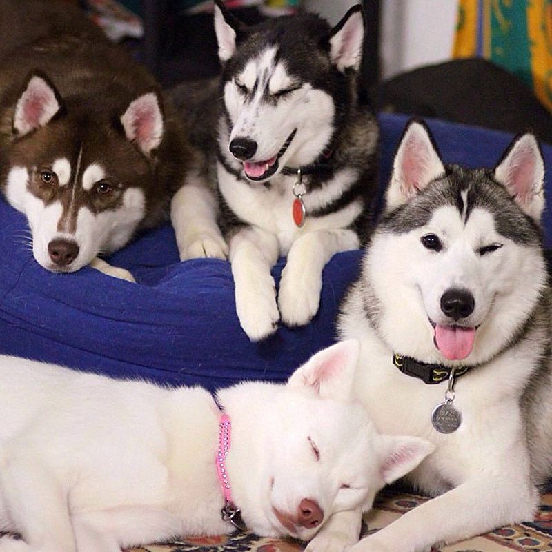 43 самых умилительных Инстаграма 2013 года 43 самых умилительных Инстаграма 2013 года