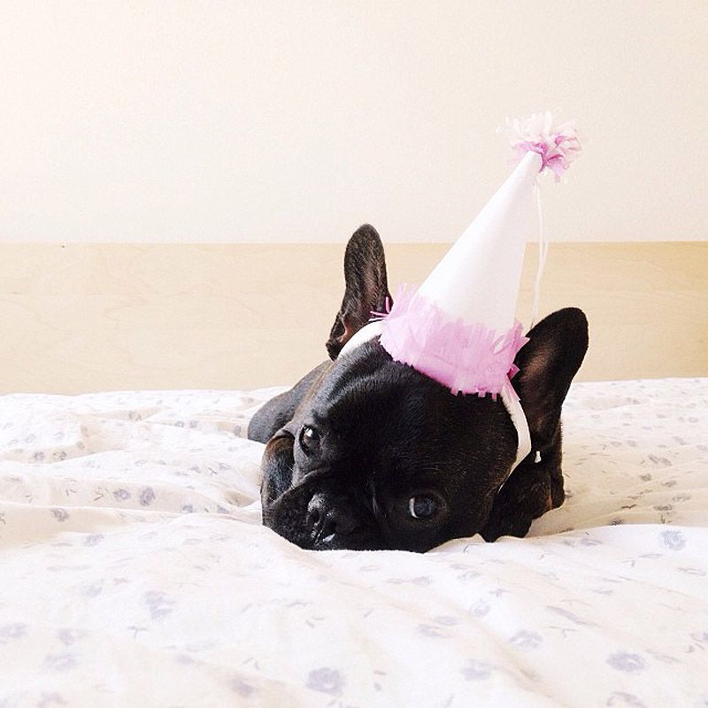 43 самых умилительных Инстаграма 2013 года 43 самых умилительных Инстаграма 2013 года