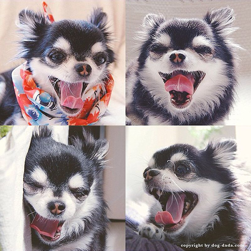 43 самых умилительных Инстаграма 2013 года 43 самых умилительных Инстаграма 2013 года