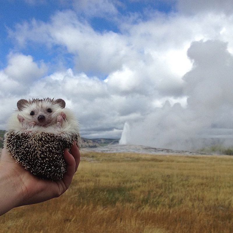 43 самых умилительных Инстаграма 2013 года 43 самых умилительных Инстаграма 2013 года