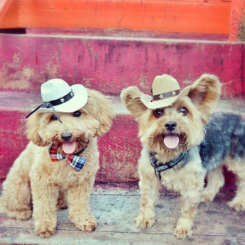 43 самых умилительных Инстаграма 2013 года 43 самых умилительных Инстаграма 2013 года