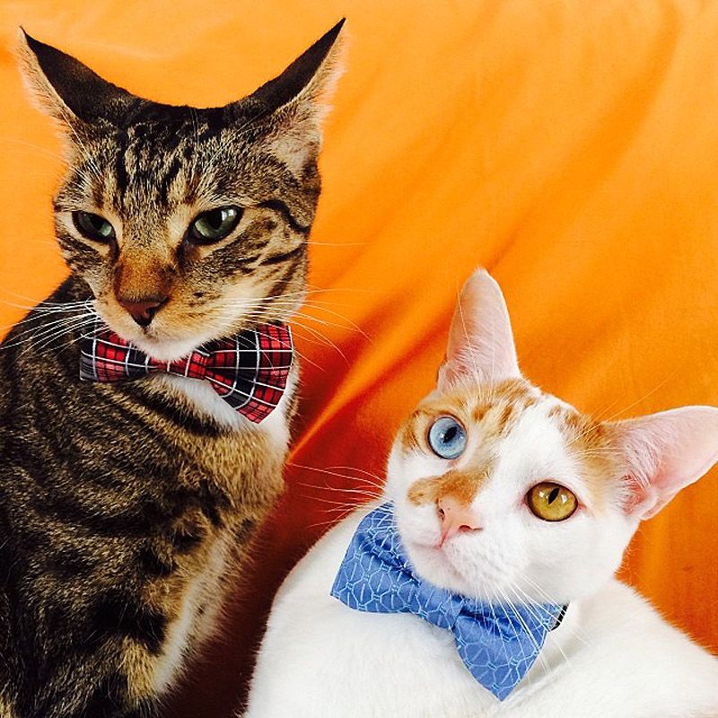 43 самых умилительных Инстаграма 2013 года 43 самых умилительных Инстаграма 2013 года