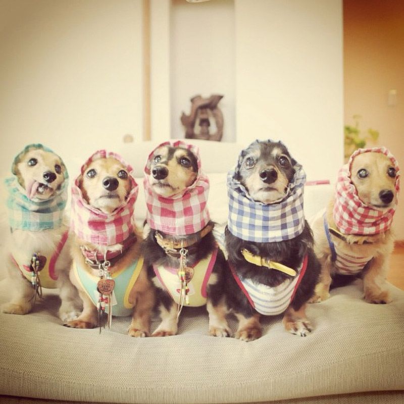 43 самых умилительных Инстаграма 2013 года 43 самых умилительных Инстаграма 2013 года