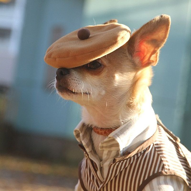 43 самых умилительных Инстаграма 2013 года 43 самых умилительных Инстаграма 2013 года